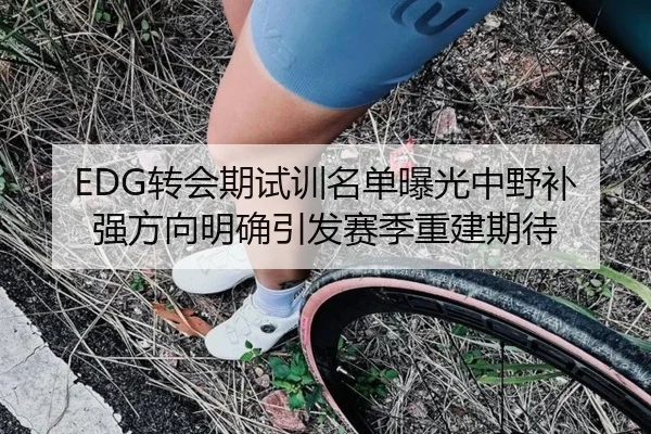 EDG转会期试训名单曝光中野补强方向明确引发赛季重建期待（HuiYing）